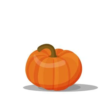 Ripe pumpkin on white background. vector illustration Stock Illustration