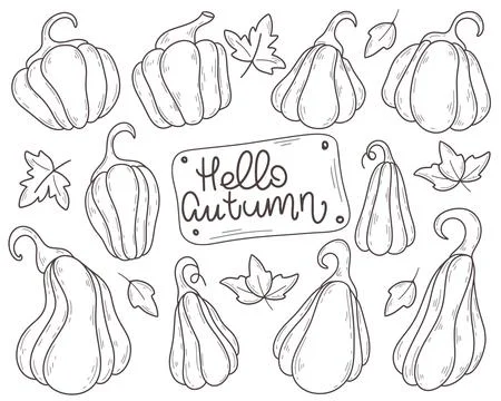 Ripe pumpkins hand drawn set Stock Illustration