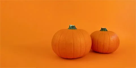 Ripe pumpkins on an orange background. Stock Photos