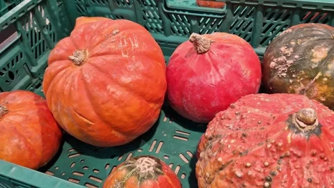 Ripe pumpkins in a plastic box in a grocery store or supermarket Stock Footage 252131481