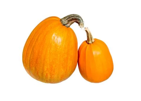 Ripe pumpkins on white Stock Photos