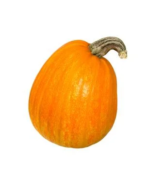Ripe pumpkins on white Stock Photos