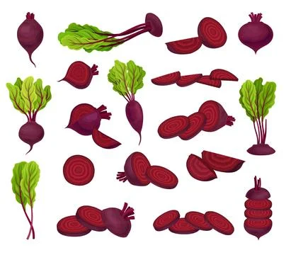 Ripe Purple Beet Root Vegetable with Top Leaves Big Vector Set Stock Illustration