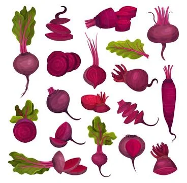 Ripe Purple Beet Root Vegetable with Top Leaves Big Vector Set Stock Illustration
