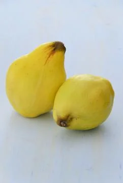 Ripe quinces Stock Photos