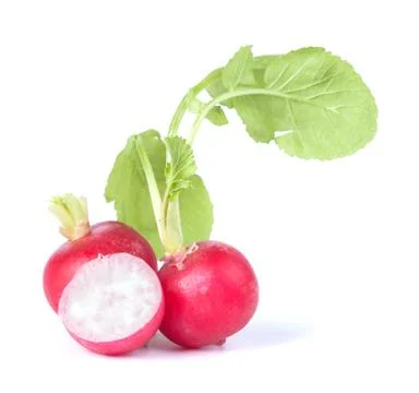 Ripe radish Stock Photos