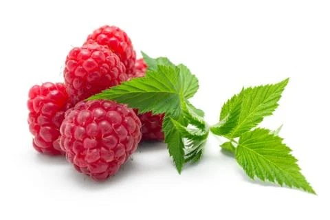 Ripe  raspberries, leaf, composition.  on white Foto stock