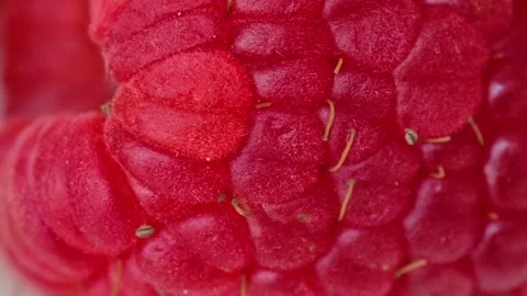 Ripe raspberries macro view. The texture of fresh raspberry. Fruit background. Stock Footage 301513648