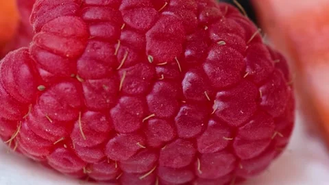 Ripe raspberries macro view. The texture of fresh raspberry. Fruit background. Stock Footage 301711404