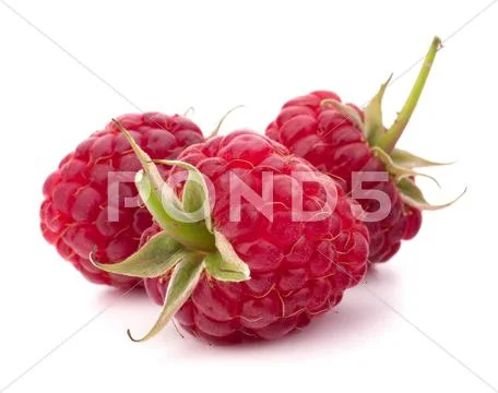 Ripe raspberries Stock Photos