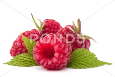 Ripe raspberries Stock Photos