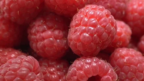 Ripe raspberries rotate in front of the camera Video stock 77715215