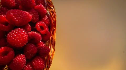 Ripe raspberry berries are folded into a wicker basket Stock Photos