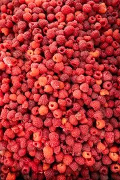 Ripe raspberry berries full frame background Stock Photos