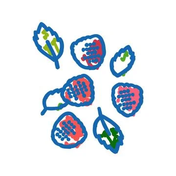 Ripe raspberry berries icon doodle illustration Stock Illustration