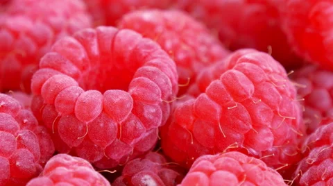Ripe raspberry close up  Stock Footage 51636223