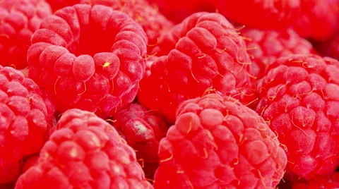Ripe raspberry close up Stock Footage 51636486