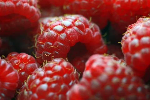 Ripe raspberry close-up. On the plate is a raspberry in the background Foto stock