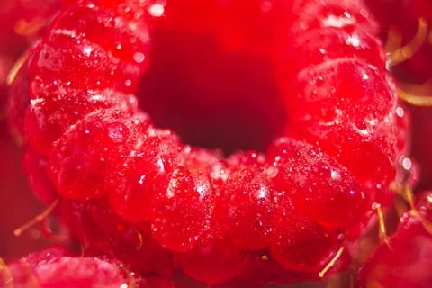 Ripe raspberry closeup wallpaper. Selective focus pattern. Whole tasty red berry Stock Photos