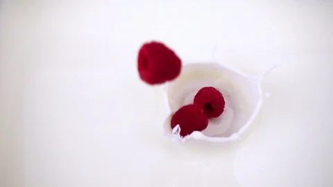 A ripe raspberry falls into the milk. Video of berry on isolated white Stock Footage 94478453