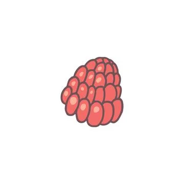 Ripe raspberry flat icon. Red berry vector illustration. Sweet natural food.  Stockillustratie