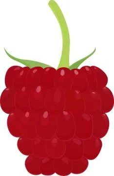 Ripe raspberry icon Stock Illustration