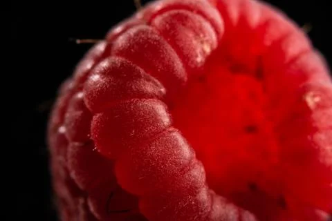 Ripe raspberry isolated on black background close up. Stock Photos