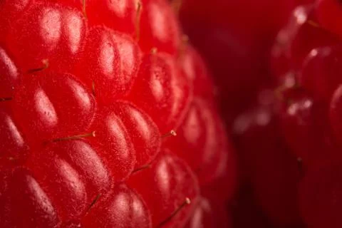 Ripe raspberry isolated on black background close up. Foto stock