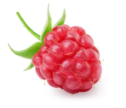 Ripe raspberry isolated Stock Photos