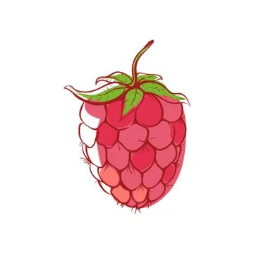 Ripe raspberry isolated vector icon Stock Illustration