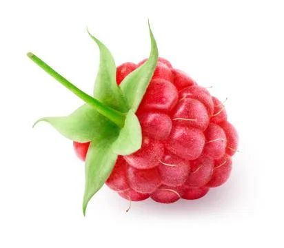 Ripe raspberry isolated on white Foto stock