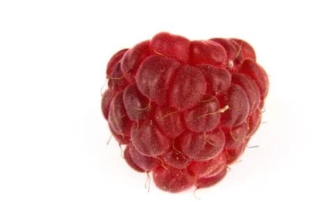 Ripe raspberry isolated on white Stock Photos