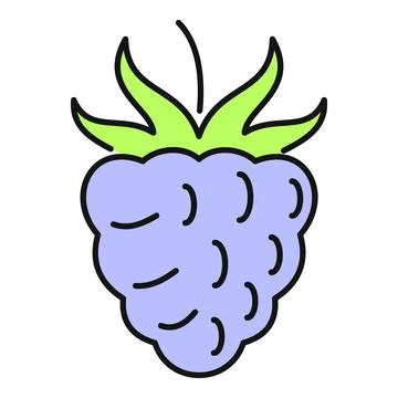 Ripe raspberry or blackberry fruit vector icon Stock Illustration