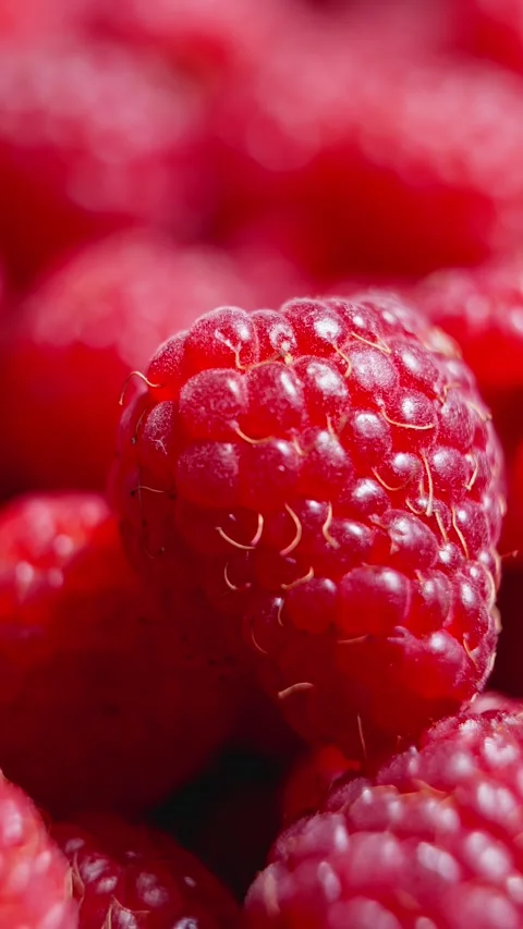 Ripe raspberry rotating. Juicy and delicious red berries. Organic food. Vertical Stock Footage 291439932
