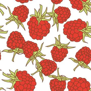 Ripe raspberry seamless pattern  isolated on white background. Stock Illustration
