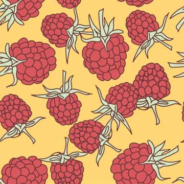 Ripe raspberry seamless pattern  on orange background. Illustrazione stock