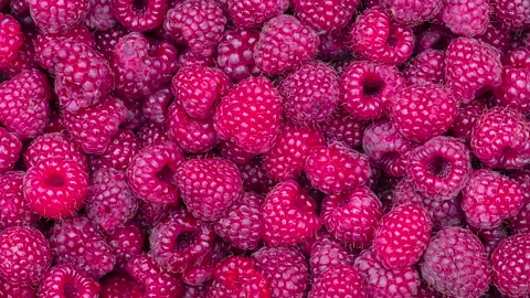Ripe raspberry texture Stock Footage 135311922