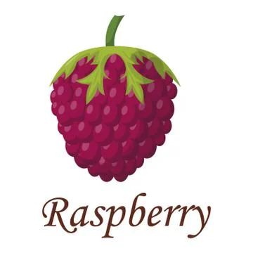 Ripe raspberry vector illustration イラスト素材