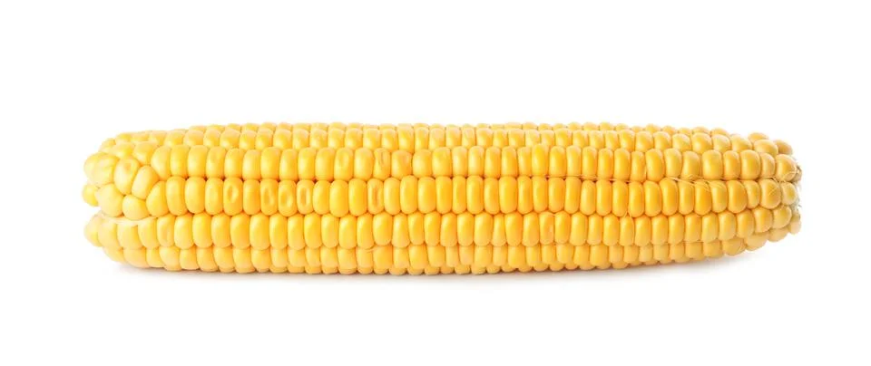 Ripe raw corn cob isolated on white Stock Photos