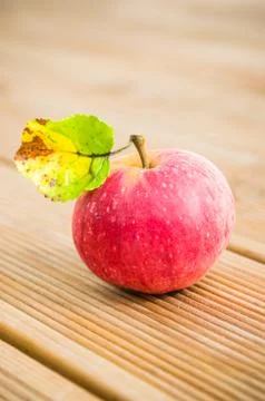 Ripe red apple with a leaf, close-up Stock Photos