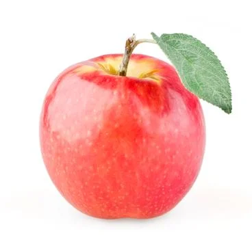 Ripe red apple with leaf Stock Photos