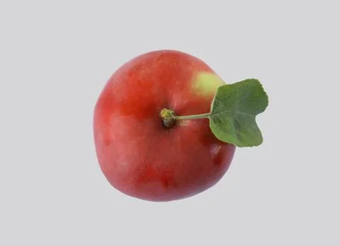 Ripe, red apple with a leaf. Stock Photos