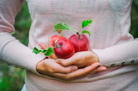 Ripe red apple Stock Photos