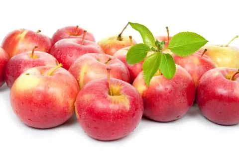 Ripe red apples with a leaf Stock Photos