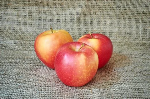 Ripe red apples Stock Photos