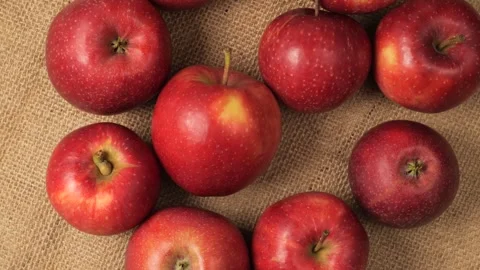 Ripe red apples rotating on burlap background Stock Footage 343433786