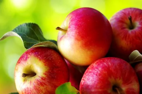 Ripe red apples on table Stock Photos