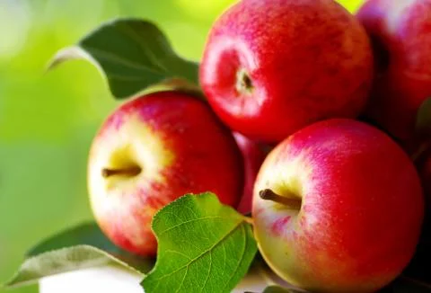 .ripe red apples on table Stock Photos