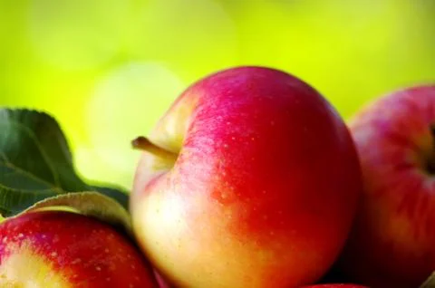 .ripe red apples on table Stock Photos