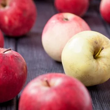 Ripe red apples on a table selective focus square photo Stock Photos
